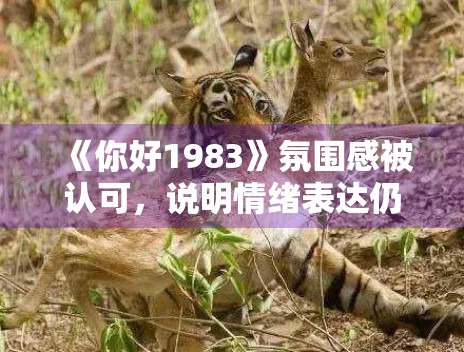 《你好1983》氛围感被认可，说明情绪表达仍是关键