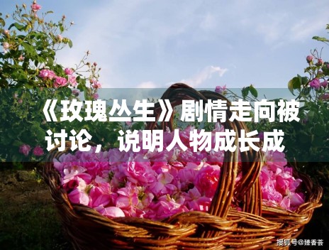 《玫瑰丛生》剧情走向被讨论，说明人物成长成为核心看点