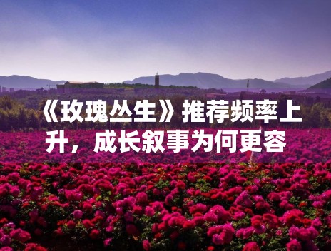 《玫瑰丛生》推荐频率上升，成长叙事为何更容易留存