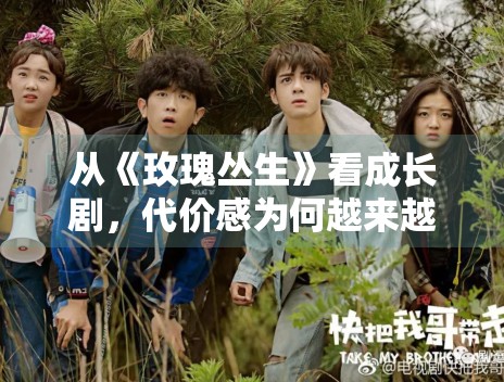 从《玫瑰丛生》看成长剧,代价感为何越来越重要 从《玫瑰丛生》看成长剧,代价感为何越来越重要